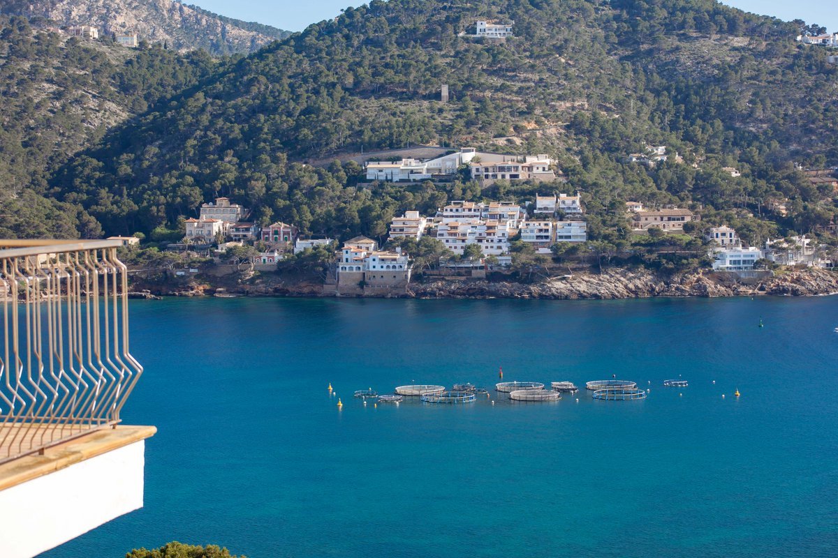 OnlyMallorca's tweet photo. Only Mallorca - A property in one of the best spots in Port d'Andratx - https://t.co/8dnOCnPBXp https://t.co/BlUhlHtmsm