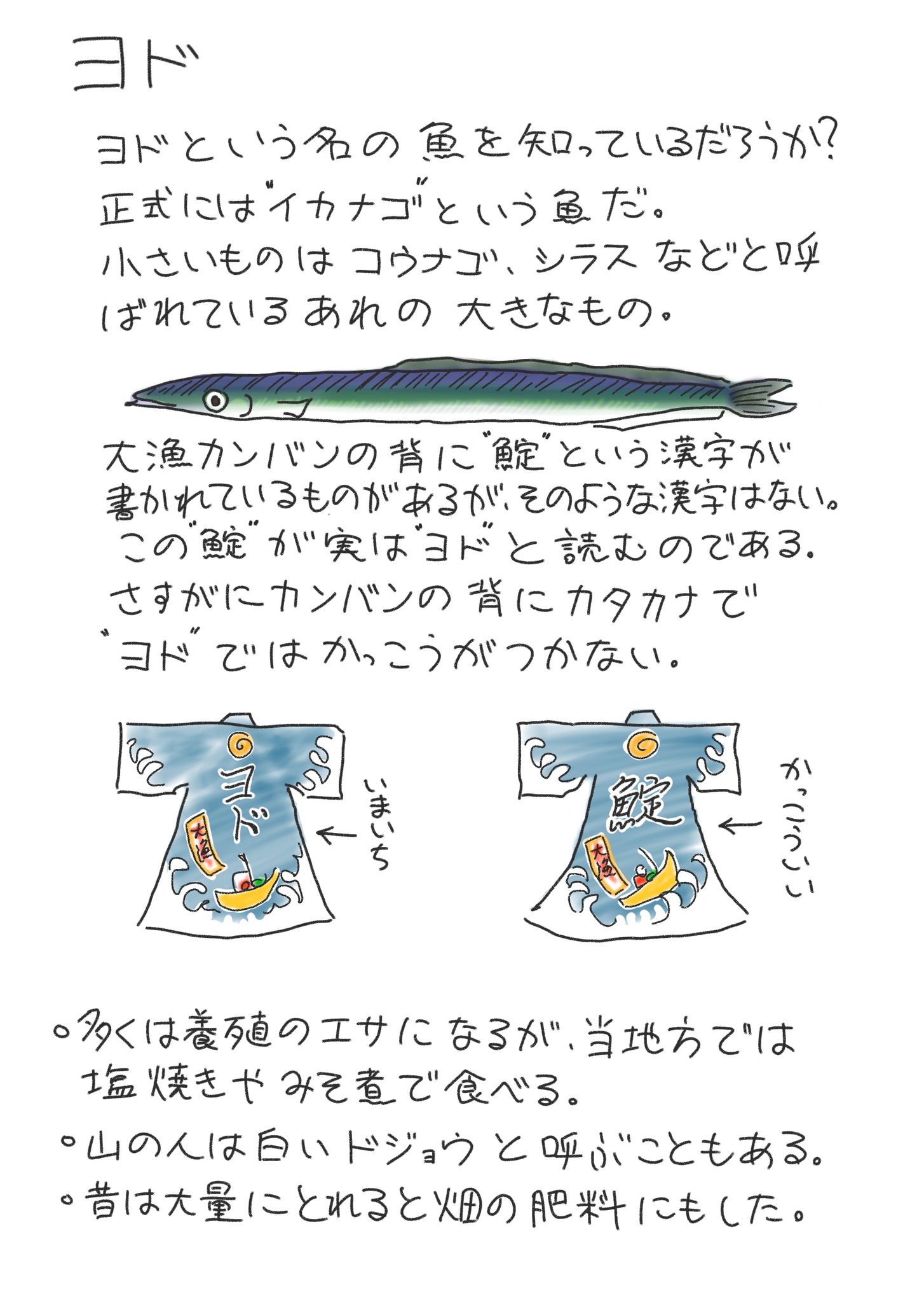リアス アーク美術館山内 ヨドという魚を知っていますか ヨドは地方名で標準和名はイカナゴ メロウド 小さいやつはコウナゴとも言いますね 春告魚とも呼ばれる魚 気仙沼ではスーパーで購入可能 安いです リアス アーク美術館 方舟日記より