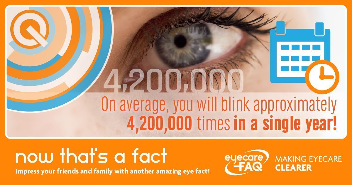 eyecarefaq's tweet photo. Did you know?...
#OpticalFacts #EyeFacts https://t.co/xHmDxTAh41