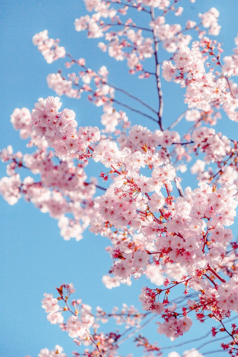We believe that it is possible for people with a brain tumour to have their best possible day, every day. 

When life feels all-consumed by your diagnosis, coaching can help you to focus on what matters most to you. 

Email hello@brainstrust.org.uk to get started 🌷