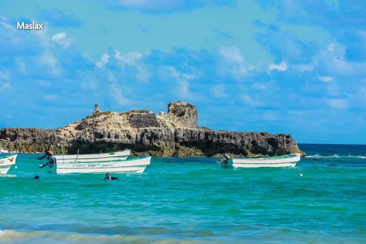 MohamedSelh's tweet photo. War-shiikh, Shabeellaha dhexe, Hirshabeelle, #Somalia

📸Maslah https://t.co/ZuWmCcELQA