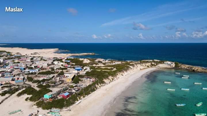 MohamedSelh's tweet photo. War-shiikh, Shabeellaha dhexe, Hirshabeelle, #Somalia

📸Maslah https://t.co/ZuWmCcELQA