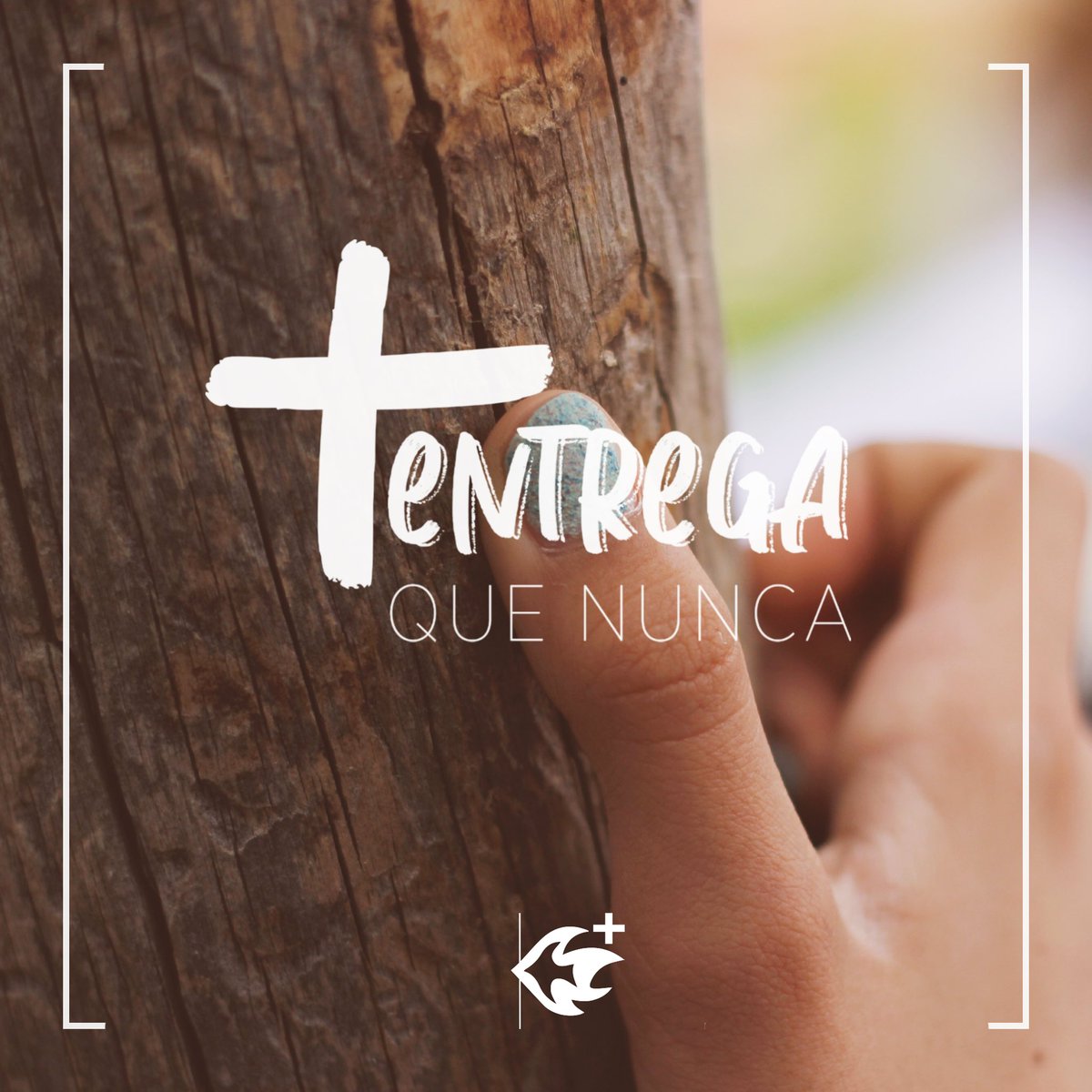 VIERNES SANTO | ✝️🪵

Hoy, el único imprescindible, es Él: «quien nos amó y se entregó por nosotros». 

Cargando nuestras cruces en la suya. Más entregado que nunca. 

Contempla. Entrega. Agradece.  

#Claretianos #Pascua <a href="/cmfsantiago/">Claretianos Santiago</a>