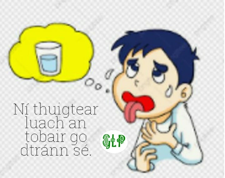 GaeilgeP's tweet photo. Ní thuigtear luach an tobair go dtránn sé #tobar #tart #uisce #luach #seanfhocal #gaeilge #gaeilgelepád #glp https://t.co/O5owiF0hwV