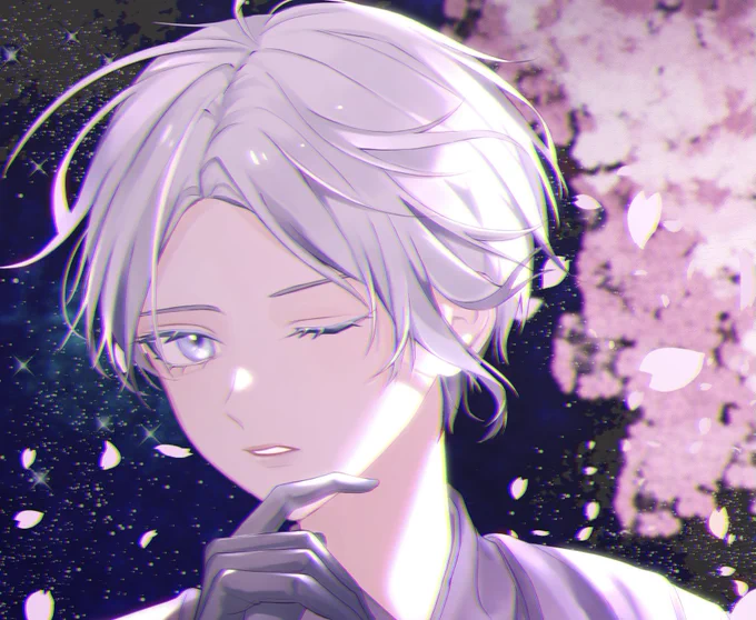 夜桜、 