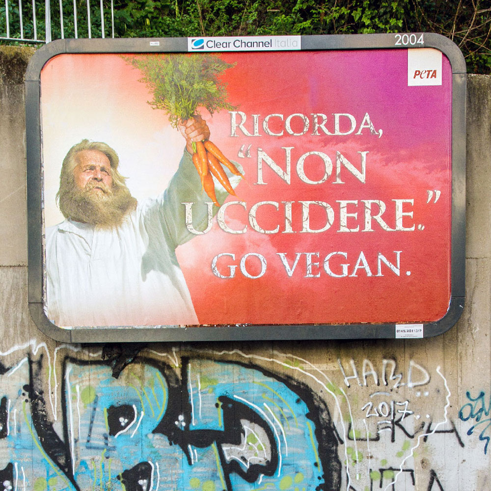 Veggie Channel tweet media