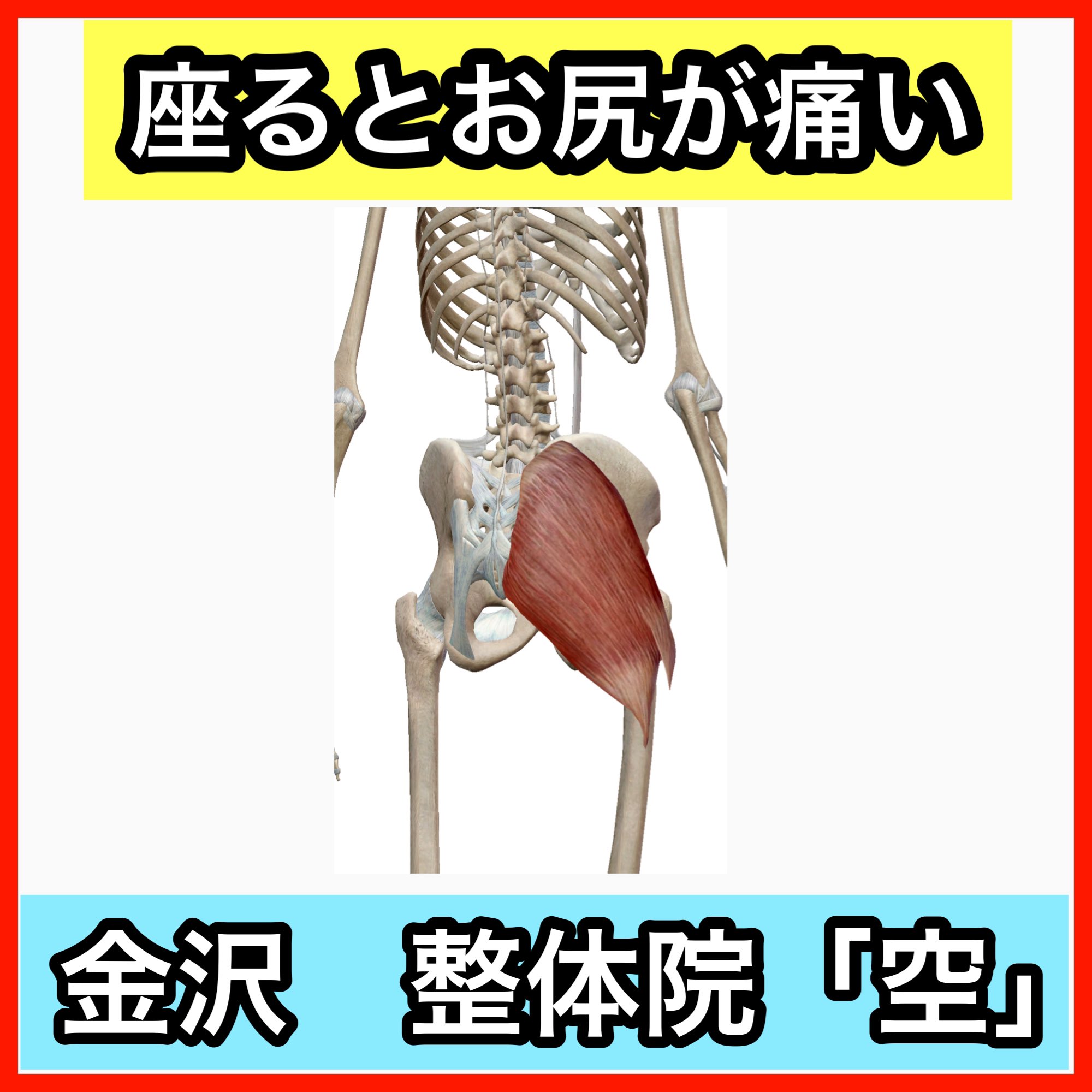 金沢市 痛み専門整体 整体院 空 じっと座っているとお尻が痛い イスなどに長時間 じっと座っているとお尻が痛くなる方は大臀筋のトリガーポイントが関係していることが多いです お尻の中でも特に大きな筋肉で 表層の部分を占めている筋肉です