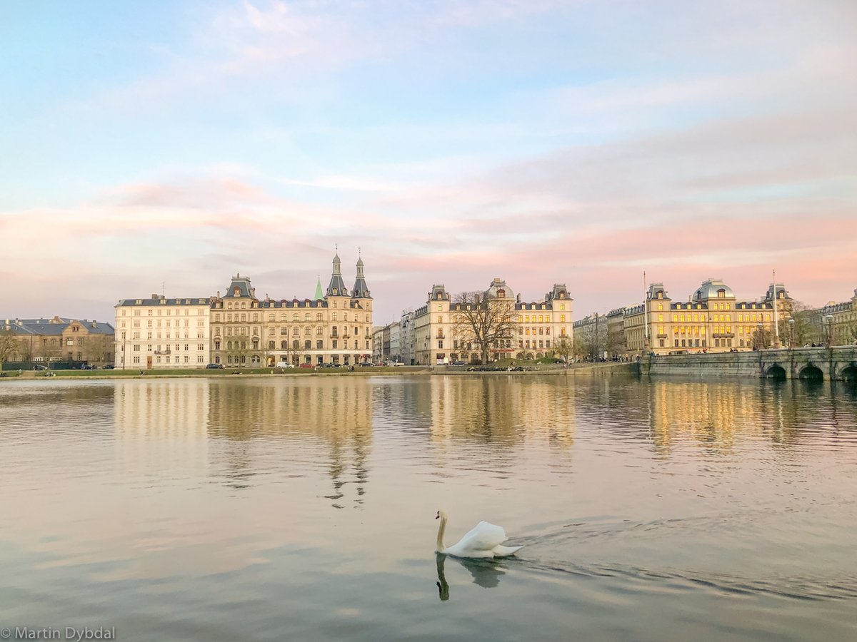 nightpixdybdal's tweet photo. A beautiful day in Copenhagen. #søerne #thelakes #nørrebro #swan #svane #danska #丹麦 #taani #دانمارک #Дания #nightpixdybdal #martindybdal #bellik #덴마크 #copenhagen #københavn #copenhague https://t.co/cwZM6Vn3hV