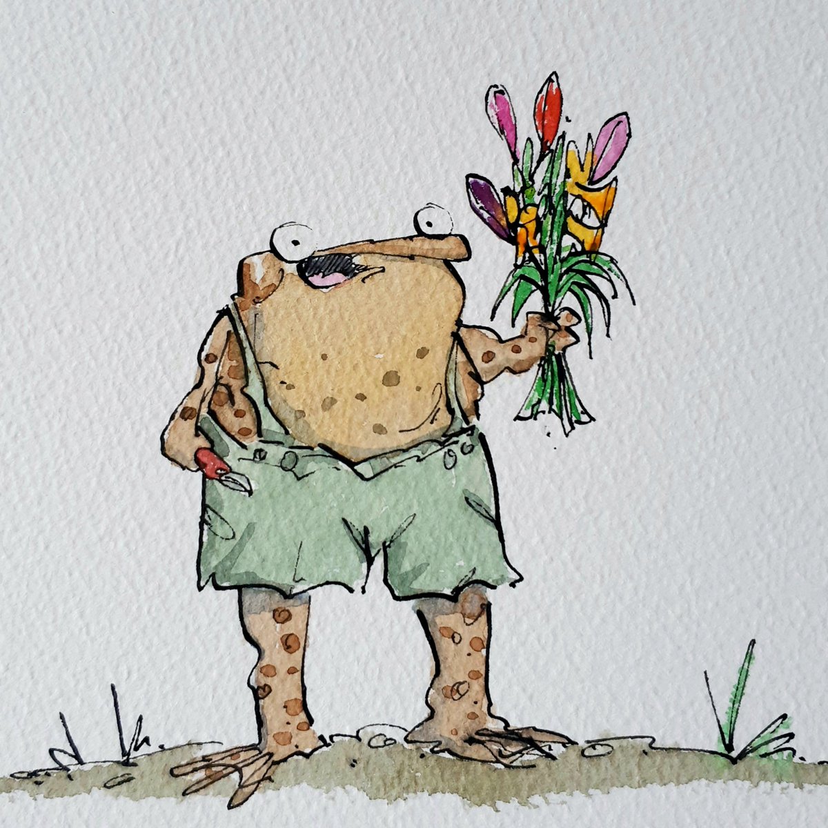 itsnotaboutwork's tweet photo. as blooms go, it's been a good friday in the garden so far.
#gardentoad https://t.co/UQ4RcAjj7L