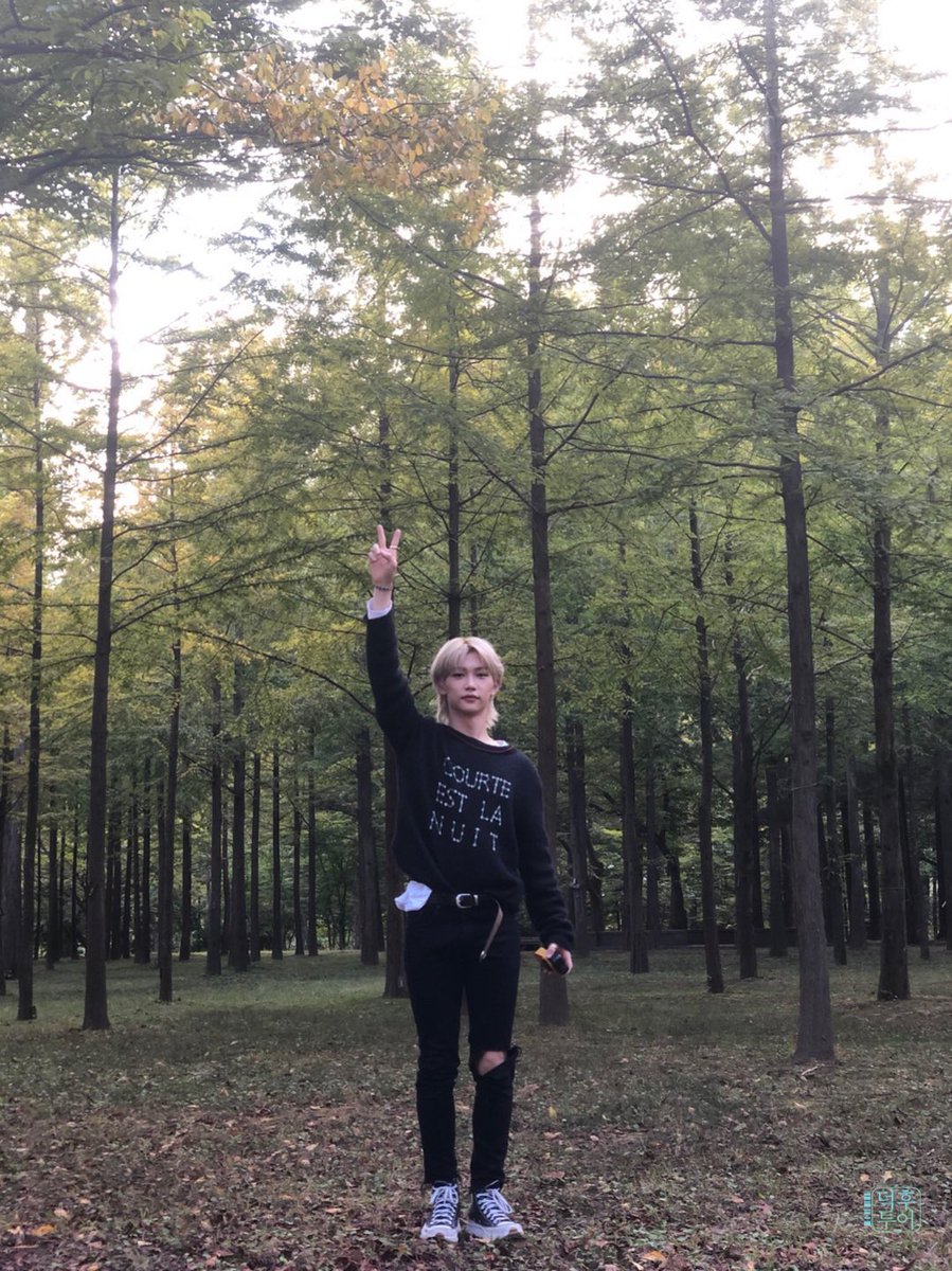 hanttps's tweet photo. pictures of felix taken by han is always so pretty and adorable 🥺🥺 https://t.co/Qvwvy9tIfB