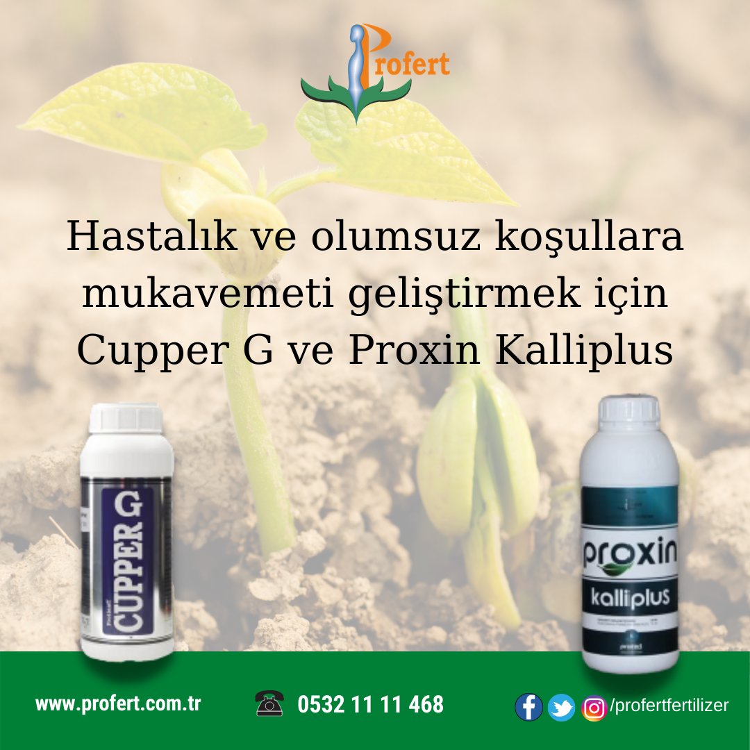 Profertgubre's tweet photo. Hastalık ve olumsuz koşullara mukavemeti geliştirmek için #CupperG ve #ProxinKalliplus

#profert #profertfertilizer #seracılık #SabahattinAli #hayirlicumalar #cuma #SkandalBakanZehraZumrut #AKdavaDedikleri #Erkencitayfa #HalimiSorarsan #Kocaeli #mügeanli #Vincenzo #izmir #antalya https://t.co/aMuYXBc4dU