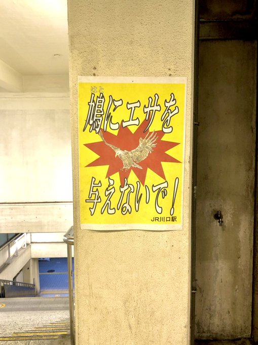 _人人人_
> 鳩 <
‾Y^Y^Y‾ 