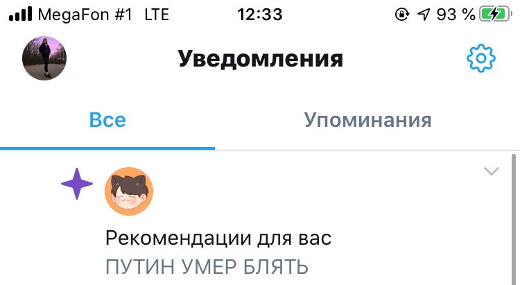 Воровка Сохранёнок (@katyrain001) on Twitter photo 