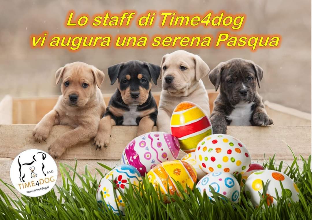 Time4Dog's tweet image. Lo staff di Time4Dog vi augura Buon Pasqua 
#time4dog #HappyEaster