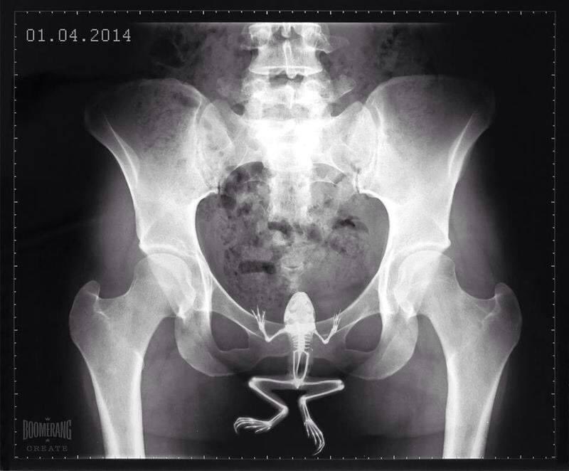 Cryptotamia 🟠 tweet media