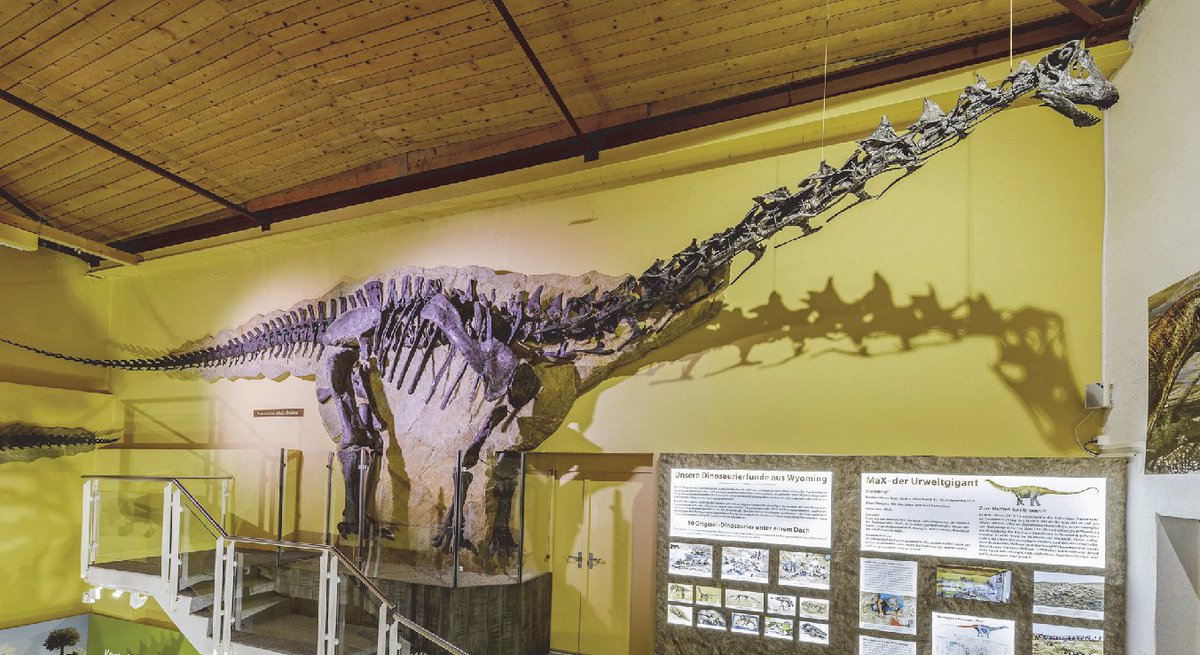Mikroskop kullanımı dinozor kemiklerini belirlemede yardımcı oluyor 
İlgi çekici yazımızın devamına aşağıdaki linkten ulaşabilirsiniz;
mtbm.bornova.bel.tr/index.php/2021…
#BornovaBelediyesi #MevlanaToplumveBilimMerkezi #GençKaşiflerBilimEvi #Paleontoloji #fosilbilimi #Sciencedaily