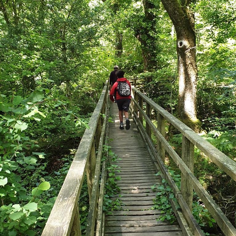Becky Falls Dartmoor tweet media