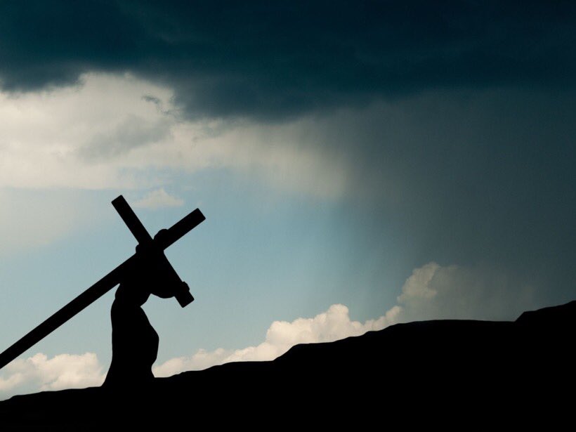Armoured Cross (@ArmouredCross) / Posts / X