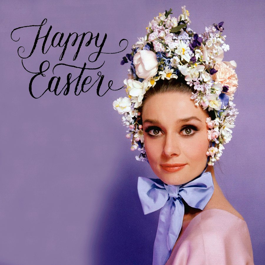 stefania ippoliti (@ippoliti_s) on Twitter photo 