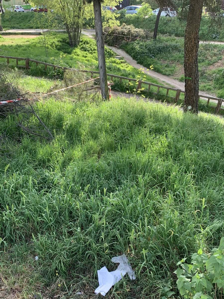AQuijanoElBueno's tweet photo. Y ya de paso, si no es mucho pedir, que adecenten un poco la selva, con dejarla en categoría de bosque es suficiente.

¡Gracias @MCasariegoCor @AlmeidaPP_ @begonavillacis! https://t.co/2Rt8uySlVI