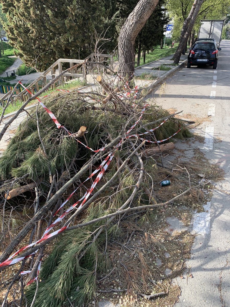 AQuijanoElBueno's tweet photo. @Lineamadrid ¿pueden pasar a retirar los restos de Filomena o esperamos a que se junten con la siguiente? En la selva (más que parque es una selva) de la c/ Navaridas y c/ Nanclares de Oca. @BarrioDeRejas @BarrioLasRejas @MCasariegoCor @BCanillejas https://t.co/34lnJ7bpu0