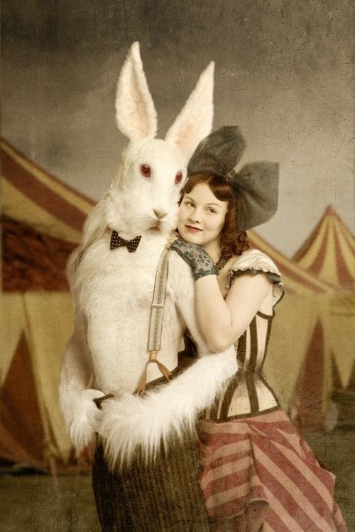 Whores Of Yore On Twitter Dorothy Hart And A Vintage Easter Bunny Who Looks Like Hes On The