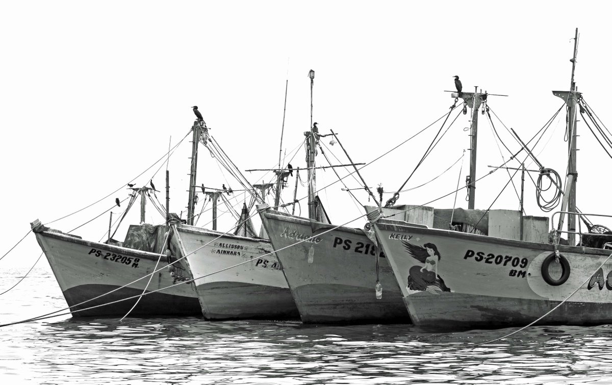 NYCSandyTaylor's tweet photo. This b&amp;w photo will look great on your wall. #Buy #prints &amp; more at https://t.co/jrjtduhWoN #photography #wallart #homedecor #shopping #nautical #boats https://t.co/SR2zdR4cZl