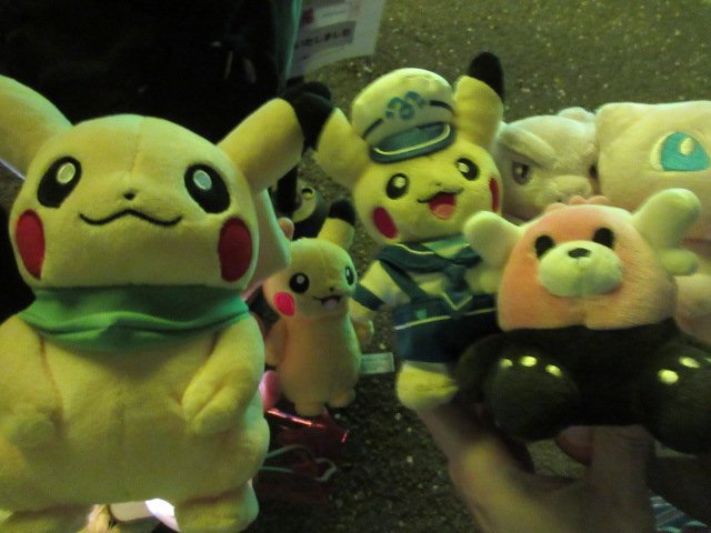 しげりん なんとりゅうきさんとお会いできました 相模湖プレジャーフォレスト ポケモンイルミネーション