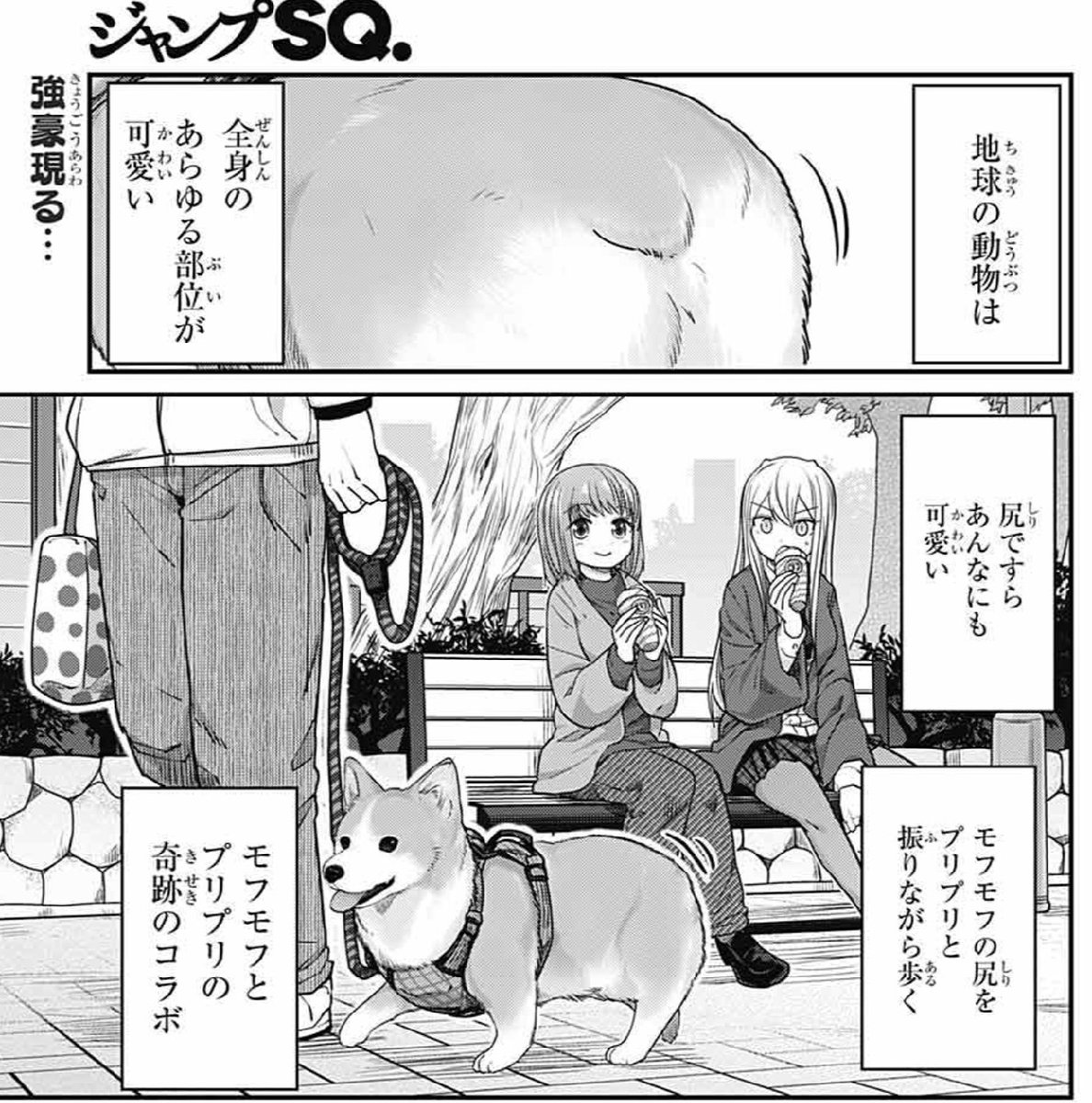 『カワイスギクライシス』3巻に多くの反応ありがとうございます!
発売中のジャンプSQ.5月号で続きが読めますのでそちらもどうぞ。
よぞらVSメカヨゾラ再び!そしてコーギーとお尻の話の2本立てです。
よろしくお願いします!
