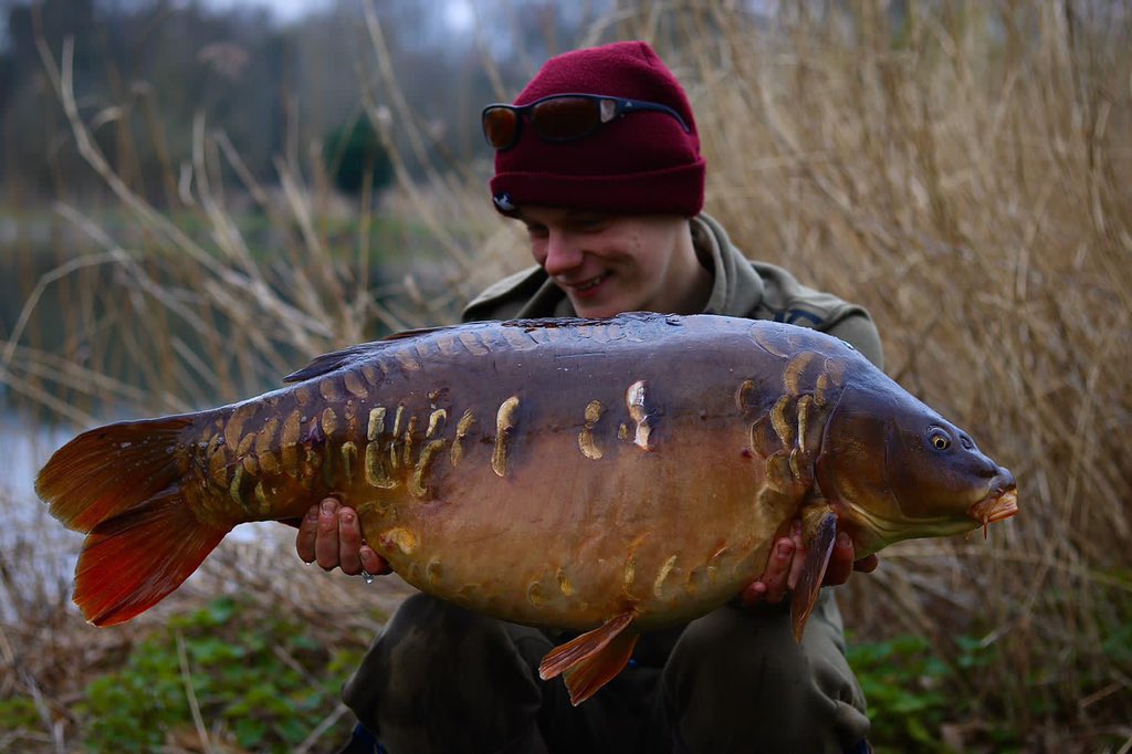 ccmoore_baits's tweet photo. Northern Specials NS1
The popularity, reputation & performance of these incredible hookbaits still keeps growing stronger year on year.
If in doubt - cast an NS1 out.
https://t.co/3sd77bR1hp
.
.
.
#ccmoore #mooremeansmore #northernspecials #No1 #ns1 #thebest #hookbait #popup https://t.co/JoQ47kyJfX