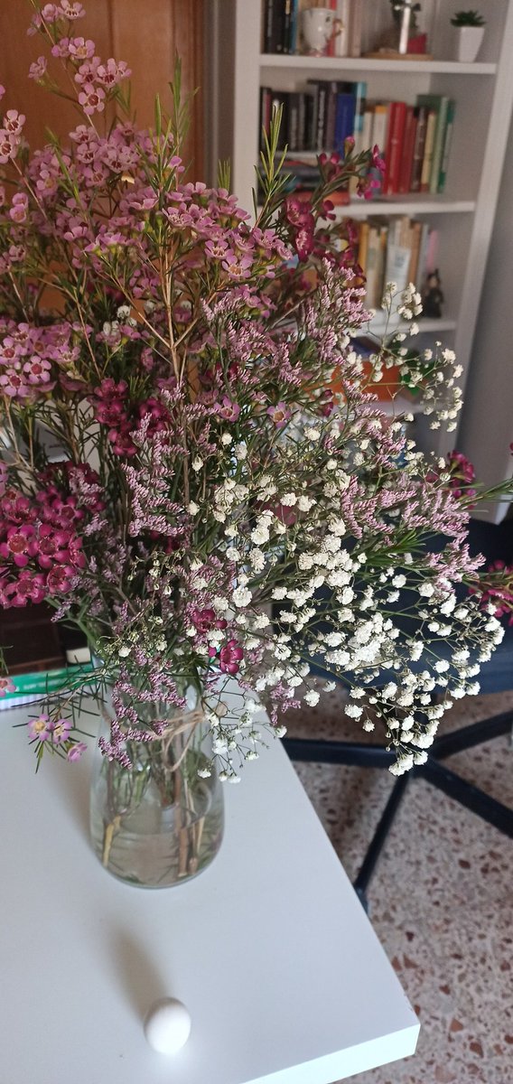 trazotropia's tweet photo. 🌺🌼🙈 https://t.co/gVbQ4nqWsQ