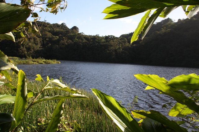 alirioaltuve's tweet photo. Laguna de Agua Negra, troncal 7, en la vía entre Boconó y Batatal https://t.co/rldYP642ke