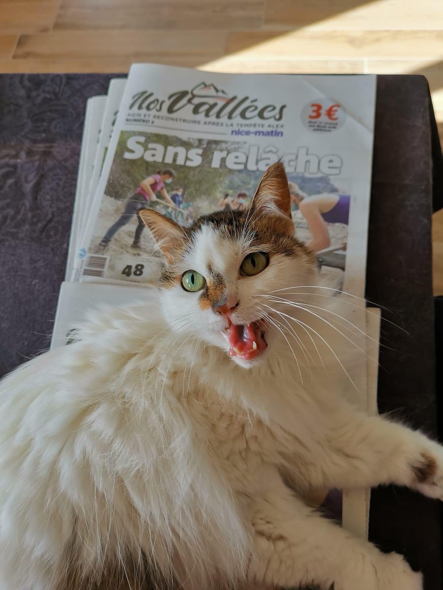 GilMarsalla's tweet photo. 6 mois ... et tant de choses à faire encore 

Nice-Matin sort un magazine spécial aujourd’hui dont 1€ sera reversé à l’association Les Week Ends Solidaires 

Merci 🙏 pour votre soutien 

#tempeteAlex #lesweekendssolidaires https://t.co/LcIXr67gI2