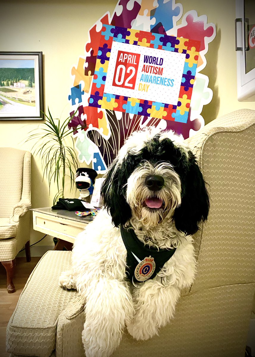 PSD_Stella's tweet photo. Today is #AutismAwarenessDay, there is no better way to celebrate this day than by becoming aware of the characteristics of people with this condition &amp; how all of us can do better to increase our own understanding &amp; promote kindness. @AutismSocietyNL @NLCODNL #BeKind
🐾Stella https://t.co/Js3VVJRsNF