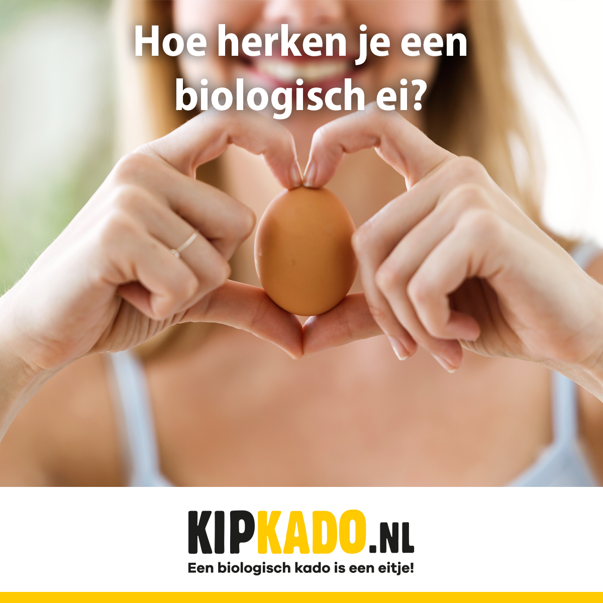 BionextTweets's tweet photo. Hoe weet je zeker dat je met Pasen een biologisch eitje tikt? Lees het hier: https://t.co/pksGu8qX2F
#Kipkado #duurzaam #Pasen #biologisch #bioeieren https://t.co/123Y4wLxVs