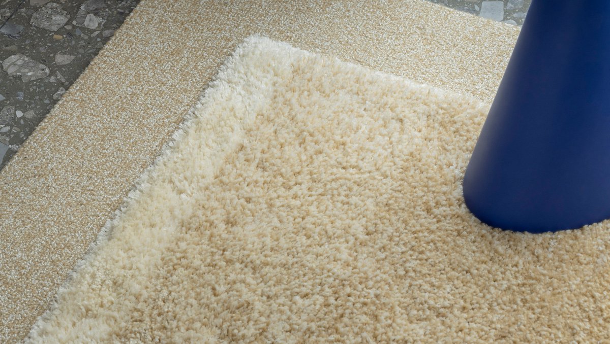 Pierre FREY tweet media