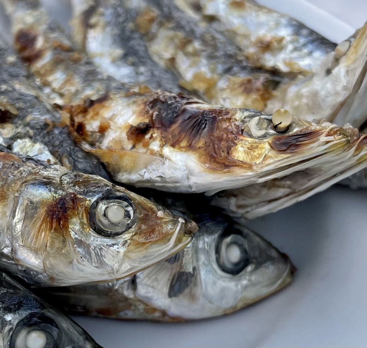 Amoragar sardinas chicas está en el venate de los malagueños,pedregalejeños y paleños como máximos exponentes.Aún no es el mejor momento de la sardina, la tienen y mantienen con dignidad, el espeto está ya pero te advierten de la temporada....todo eso y mucho más ofrece EL CALEÑO