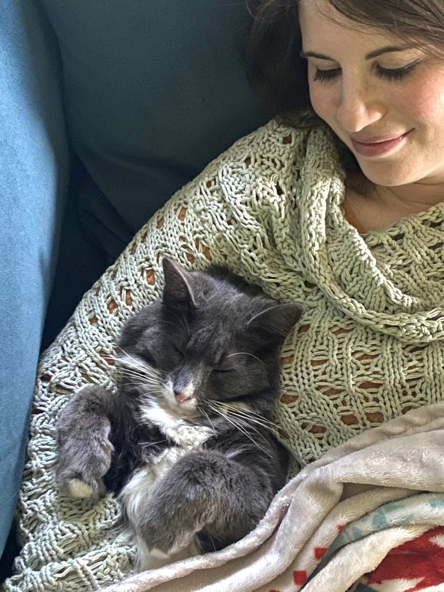NMayburgh's tweet photo. Hello Twitter. Theo took another love step! We had our best cuddle session yet 💕 https://t.co/DjMQVMPoOW