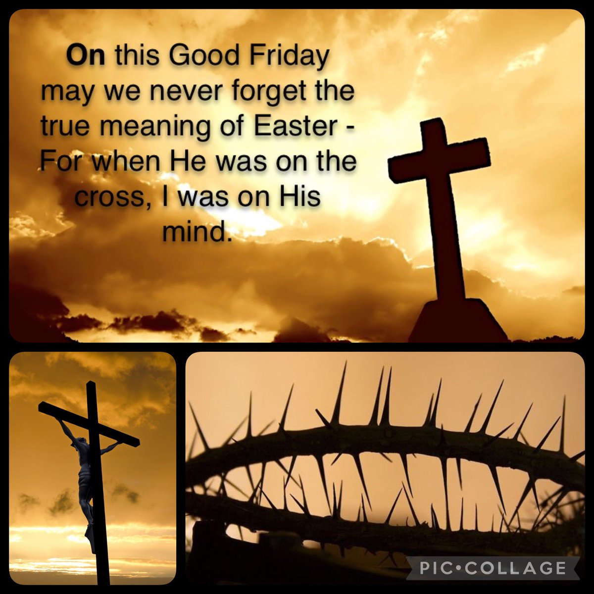 Paulette 🇩🇲 tweet media