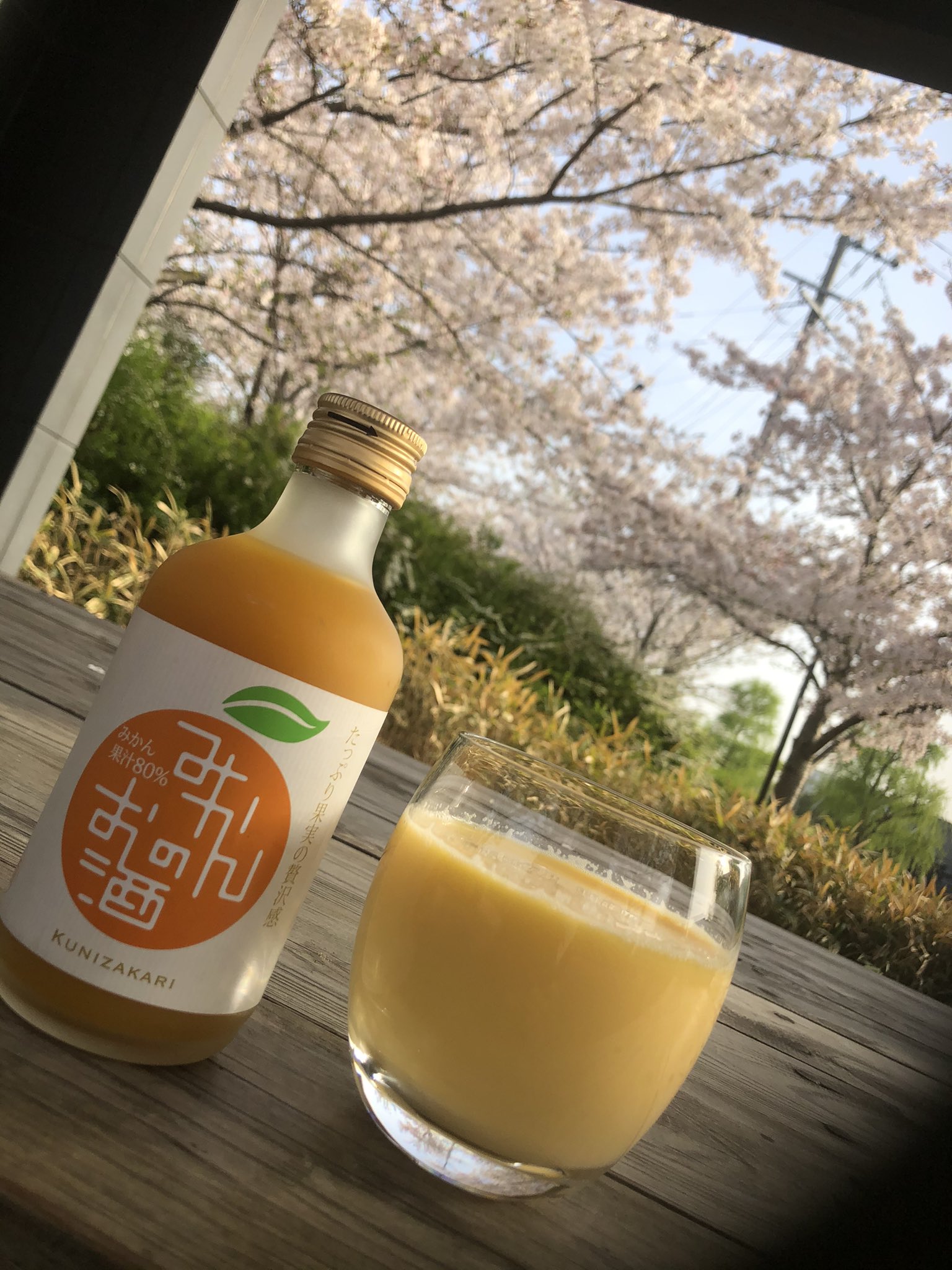 中埜酒造株式会社 公式 早速ですが みかんのお酒 の飲むヨーグルト割り試してみました みかんの果実感にヨーグルトがプラスされ クリーミーな味わいに 美味しい飲み方を発見出来ました 皆さんもぜひ1度お試しください Kunizakari