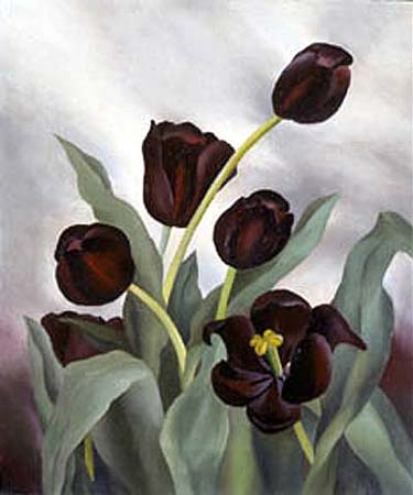 #WOMENSART tweet media