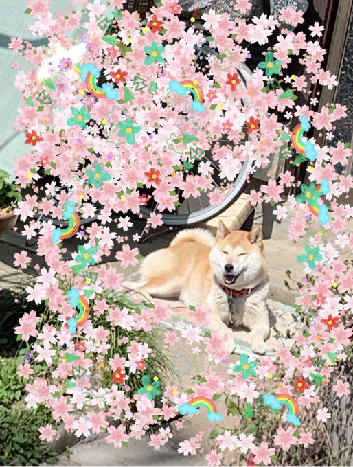 実習のtwitterイラスト検索結果 古い順