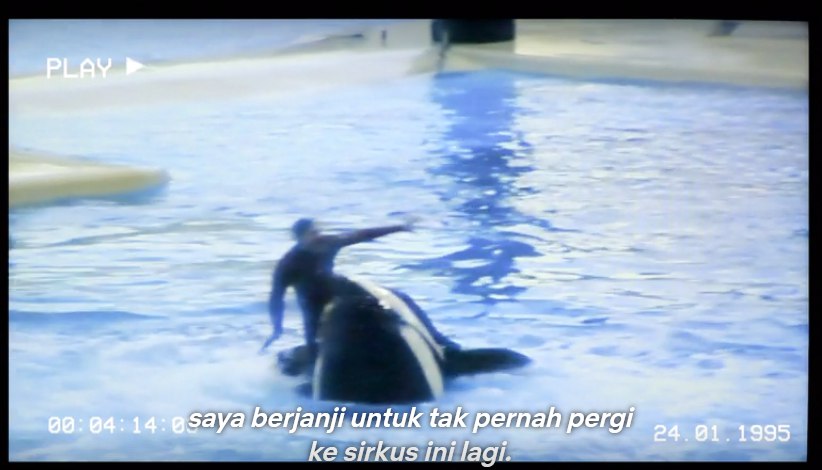 WatchmenID's tweet photo. Sebuah film dokumenter yang cukup "berani".

Mencoba memberikan data-data mengejutkan perihal ekosistem perairan global.

"Berani" mempertanyakan kredibilitas beberapa lembaga "penyelamat lingkungan" tingkat global. 

Rekomendid. https://t.co/cS3Oo2xIkx