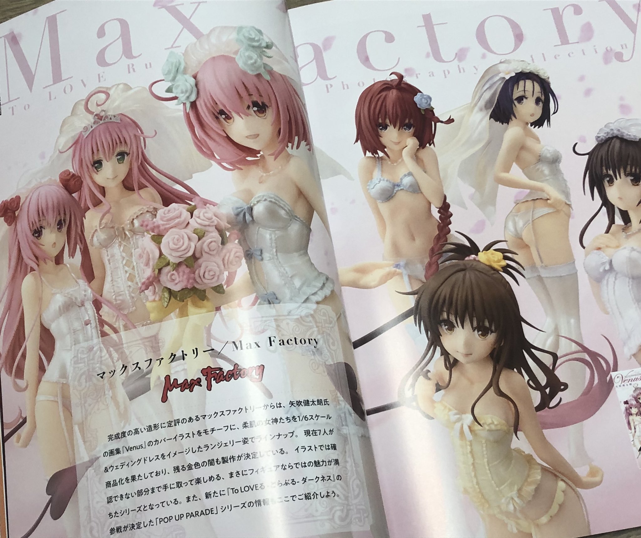 ホビージャパン編集部 人人人人人人 本日発売日 Y Y Y Y Y To Loveる とらぶる ダークネス Figure Photography Collection 発売なのです 可愛くてちょっぴりえっちぃ Toloveる ヒロインたちのフィギュアがたくさん掲載されているの