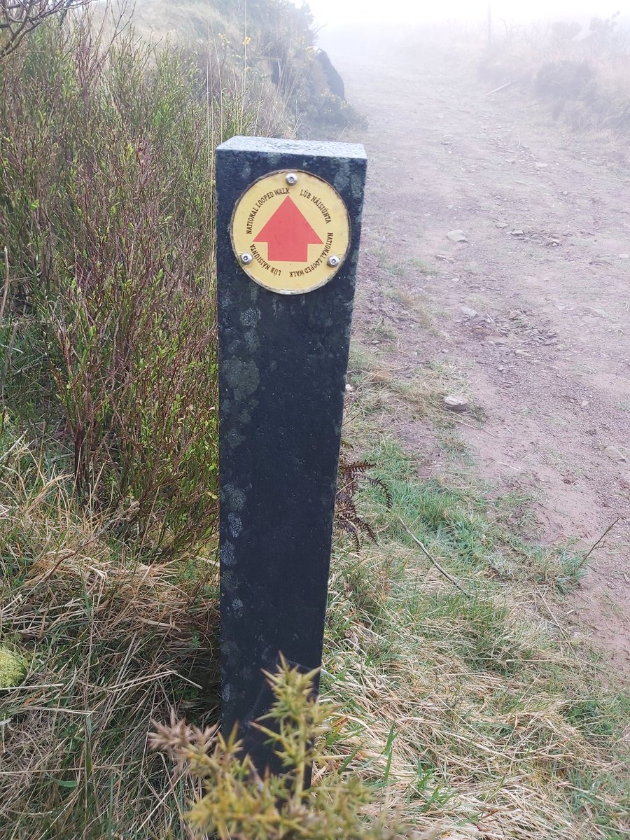 utdforever72's tweet photo. Day 92 trekked to the top of Mt Hillary today...doggie was happy even if she doesn't look it. A pity it was so foggy cos the views are beautiful from here on a clear day #100daysofwalking. #goodforthehead. #goodforthebody #keepatit #onemanandhisdog #nintytwodaysdone https://t.co/DkTD0z5YgQ