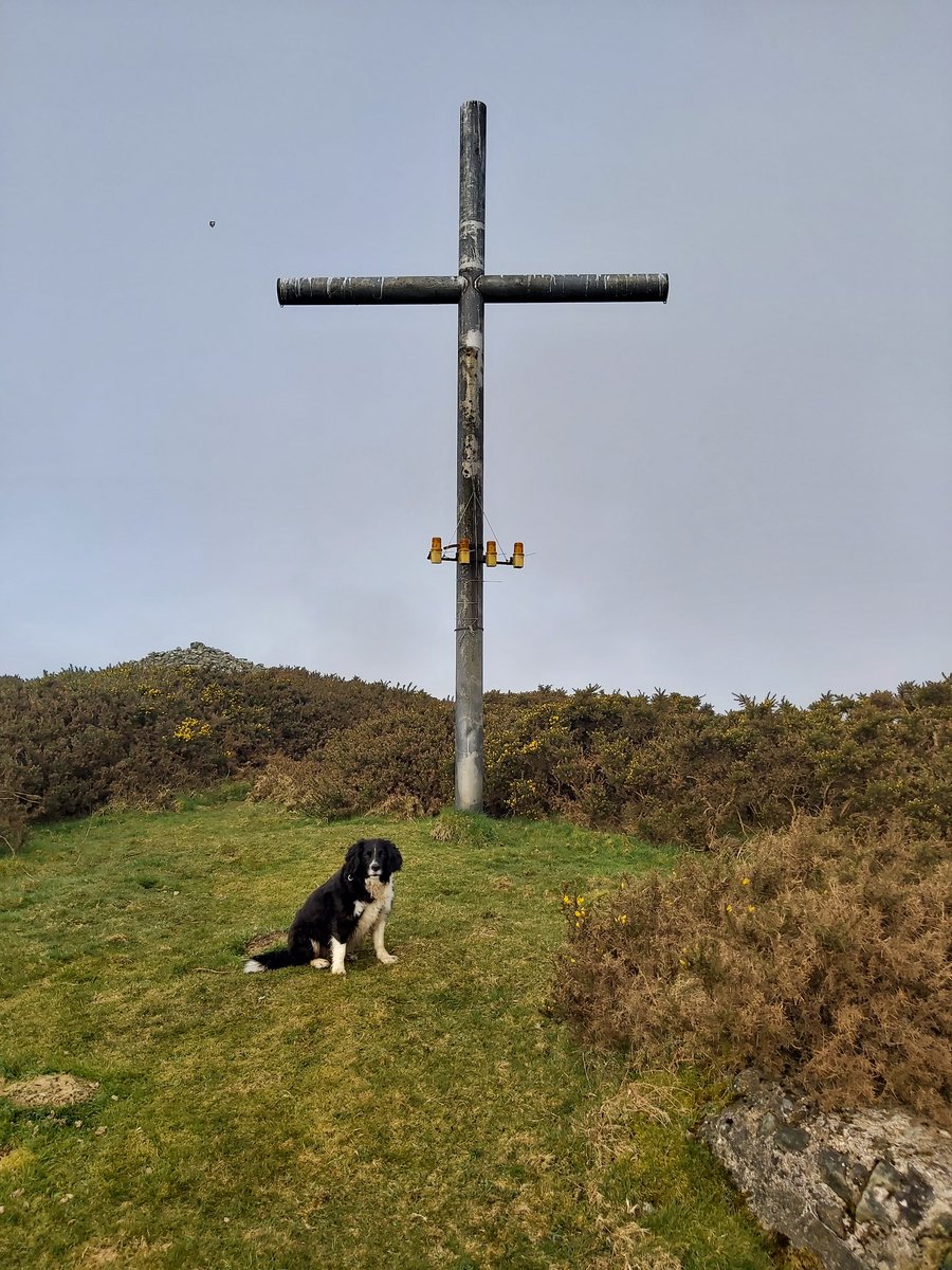 utdforever72's tweet photo. Day 92 trekked to the top of Mt Hillary today...doggie was happy even if she doesn't look it. A pity it was so foggy cos the views are beautiful from here on a clear day #100daysofwalking. #goodforthehead. #goodforthebody #keepatit #onemanandhisdog #nintytwodaysdone https://t.co/DkTD0z5YgQ