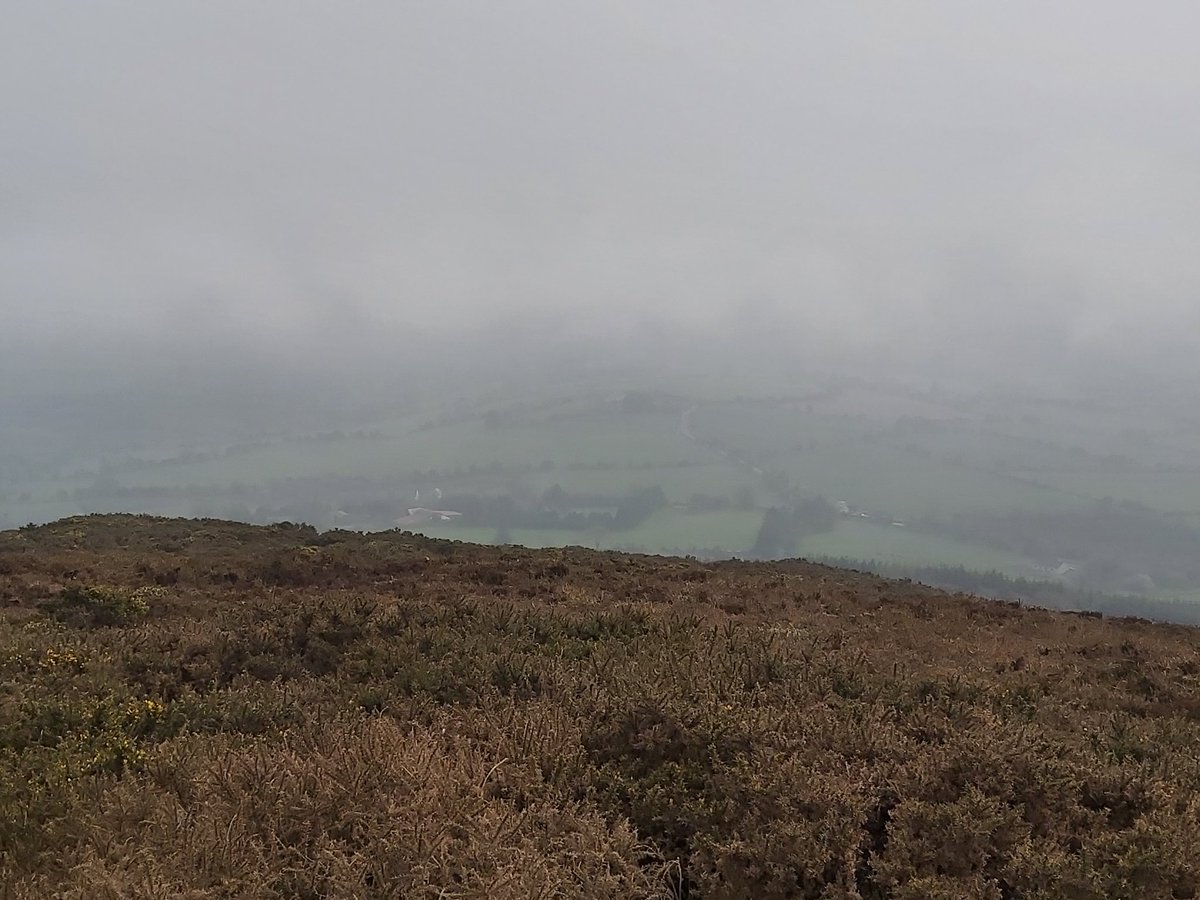 utdforever72's tweet photo. Day 92 trekked to the top of Mt Hillary today...doggie was happy even if she doesn't look it. A pity it was so foggy cos the views are beautiful from here on a clear day #100daysofwalking. #goodforthehead. #goodforthebody #keepatit #onemanandhisdog #nintytwodaysdone https://t.co/DkTD0z5YgQ