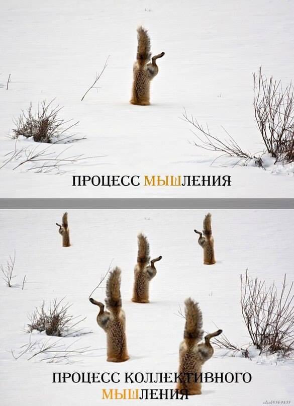 Яна Ярыгина (@kadry_63) on Twitter photo 