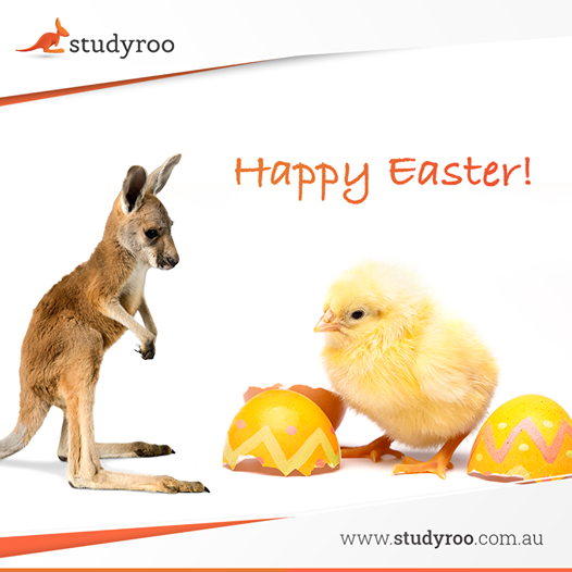 studyrooau's tweet photo. Have a #HappyEaster!!๐ฅ
Studyroo wishes you and everyone an Egg-Stra special Easter!๐ฃ
Our #educationagent at Studyroo aim to mark symbol of hope among students to set up their career and life in Australia.
Contact @Studyroo and get #consultation to #studyinperth
โ๏ธ0861170999 https://t.co/z6esfKwoLi