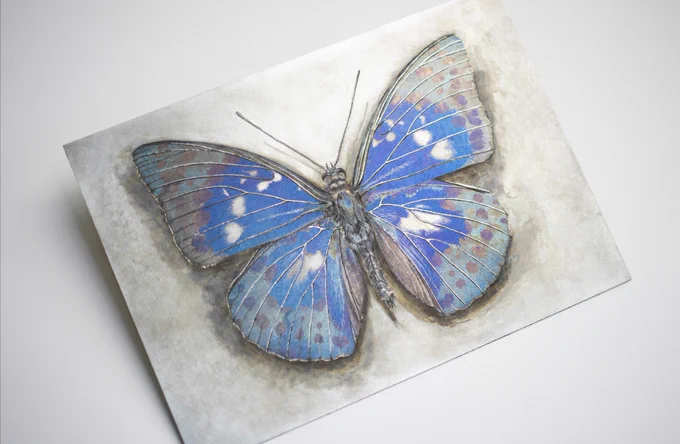 【碧羅の蝶】

樹海を泳ぐ晴い空

2021.04.01
鉄板・錆・酸化被膜
#rust #iron #butterfly 